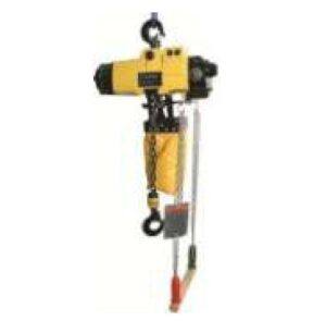 Endo Hoist & Lifting Equipment Category